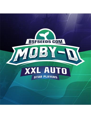 Moby-D XXL Auto X12 - BSF Seeds