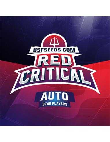 Red Critical Auto X12 - BSF Seeds