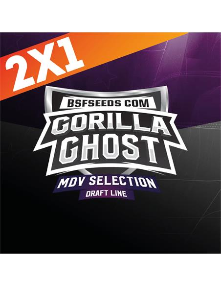 Gorilla Ghost X4 - BSF Seeds