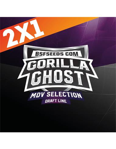 Gorilla Ghost X7 - BSF Seeds