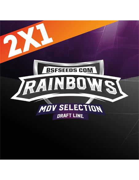 Rainbows X2 - BSF Seeds