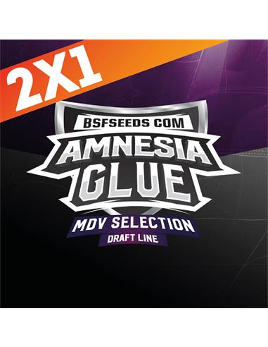 Amnesia Glue X12 - BSF Seeds