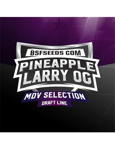 Pineapple Larry OG X2 - BSF Seeds