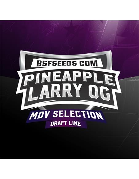 Pineapple Larry OG X2 - BSF Seeds