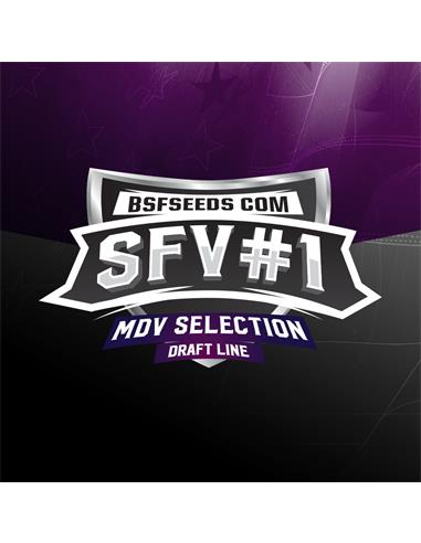 SFV #1 X7 - BSF Seeds