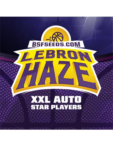 Auto Lebron Haze XXL X7 - BSF SEEDS