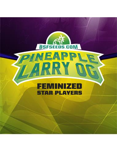 STAR PLAYER Pineapple Larry OG X4 - BSF SEEDS