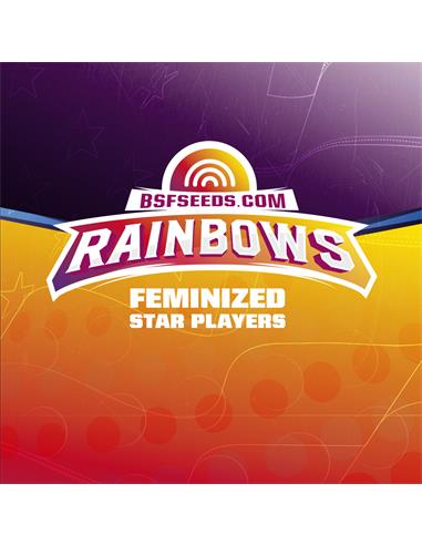 STAR PLAYER Rainbows X2 - BSF SEEDS