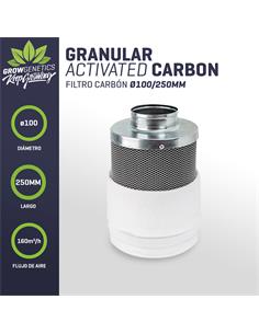 Filtro Carbon 100/250MM (160m3/h) - Pure Factory