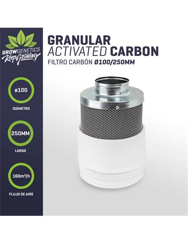 Filtro Carbon 100/250MM (160m3/h) - Pure Factory