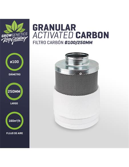 Filtro Carbon 100/250MM (160m3/h) - Pure Factory