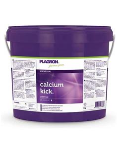 Calcium Kick 5 kg - Plagron