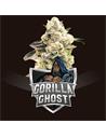 Gorilla Ghost X12 2021 - Bsf Seeds