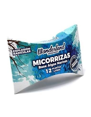 Pack 5x4 Micorrizas 6g - Wonderland