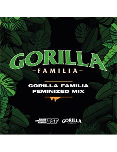 Gorilla Familia GK X12 - Bsf Seeds