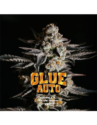 Gorilla Glue Auto GK X2 - Bsf Seeds