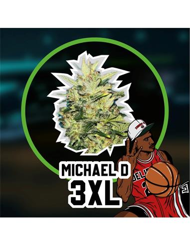 Michael D 3XL Auto - Delirium Seeds