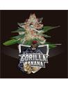 Gorilla Banana X7 - Bsf Seeds