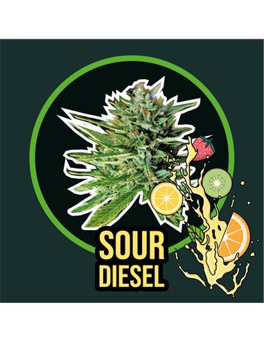 Sour Diesel FV - Delirium Seeds