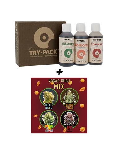 Pack Cultiva Mix Vega Rush