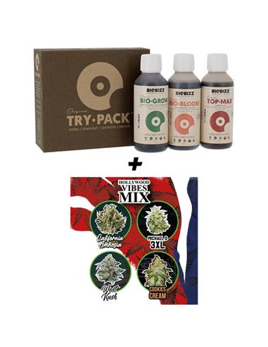 Pack Cultiva Mix Hollywood Vibe