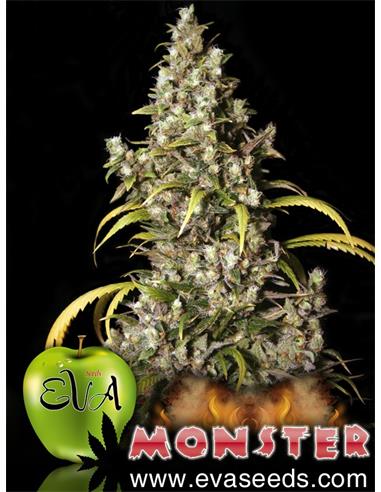 Monster X3 - Eva Seeds