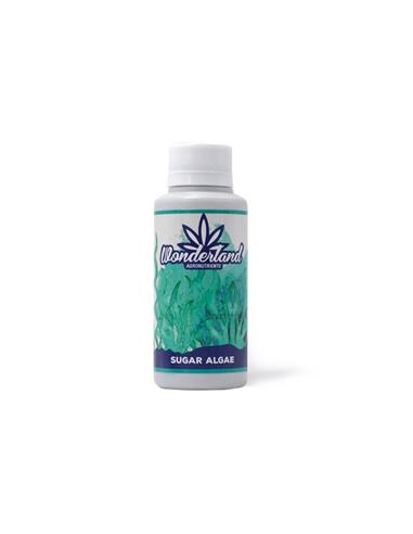 Sugar Algae 120ml - Wonderland