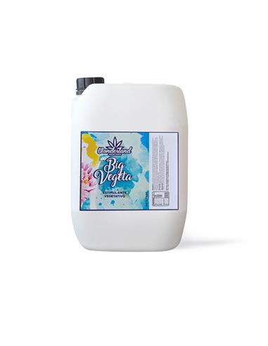 Big Vegeta 20L - Wonderland