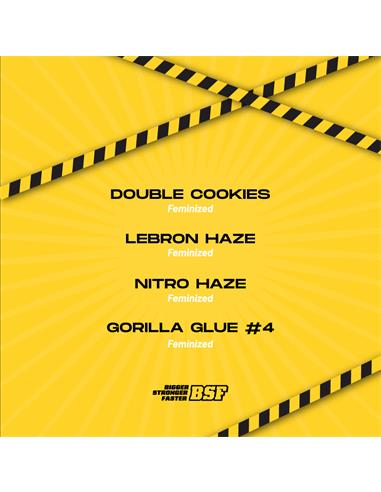 High Voltage Feminized Mix X16 - Bsf Seeds