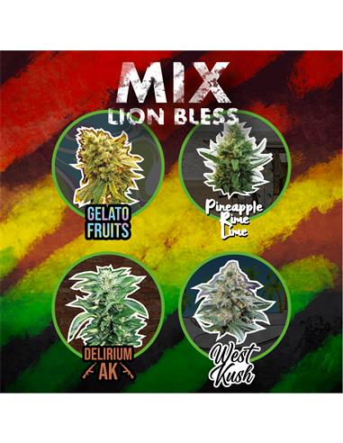 Mix Lion Bless X4 FEM - Delirium Seeds