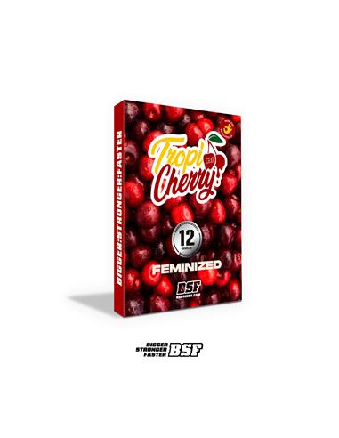 Tropi Cherry X12 - BSF