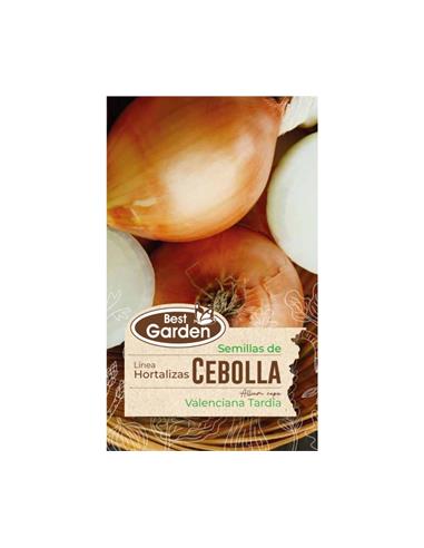 Semilla Cebolla (Valenciana Tardía) 3 grs. - Best Garden