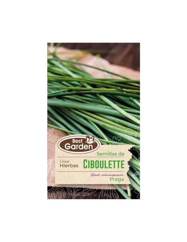 Semilla Ciboulette 2 grs. - Best Garden
