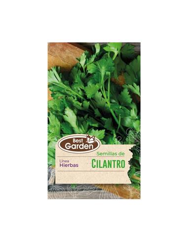 Semilla Cilantro 5 grs. - Best Garden
