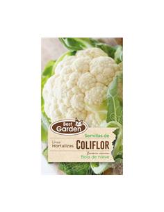 Semilla Coliflor 3 grs. - Best Garden