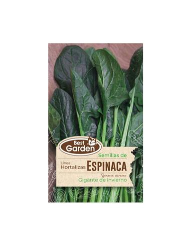 Semilla Espinaca (Gigante de Invierno) 5 grs. - Best Garden