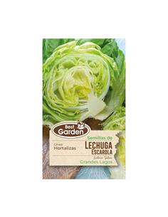 Semilla Lechuga Escarola 4 grs. - Best Garden