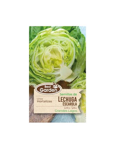 Semilla Lechuga Escarola 4 grs. - Best Garden