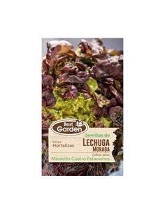 Semilla Lechuga Morada 5 grs. - Best Garden