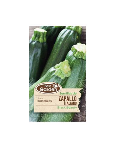 Semilla Zapallo Italiano 5 grs. - Best Garden