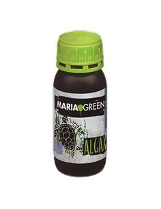 Algax 1Lt - Maria Green