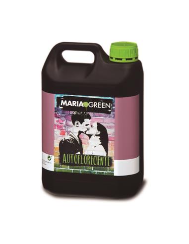 Auto Flow 5L - Maria Green