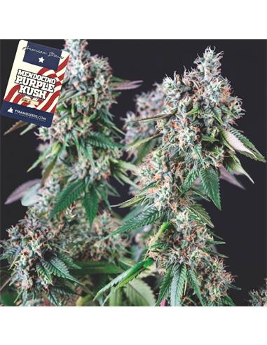 Mendocino Purple Kush X3+1 - Pyramid Seeds