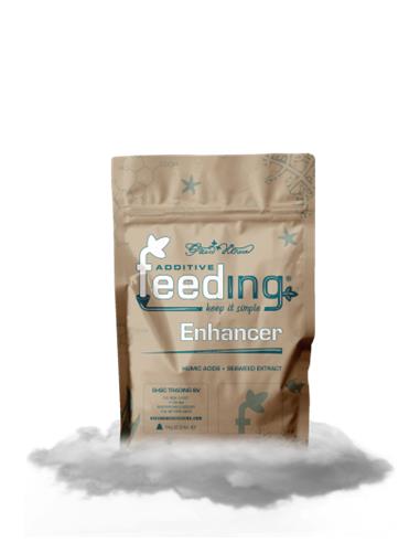Green House Powder Feeding Enhancer 500 gr