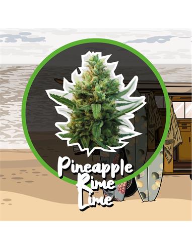 Pineapple Rime Line X7 Auto - Delirium Seeds