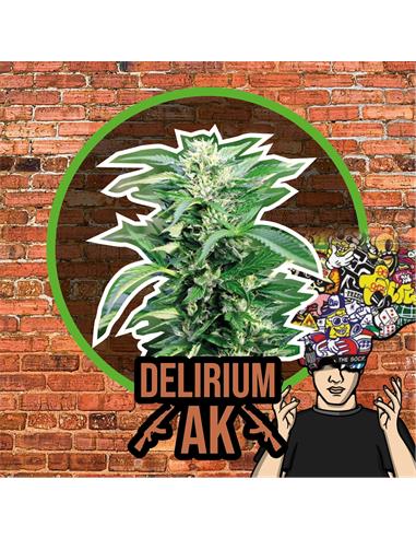 Delirium AK X7 Auto - Delirium Seeds
