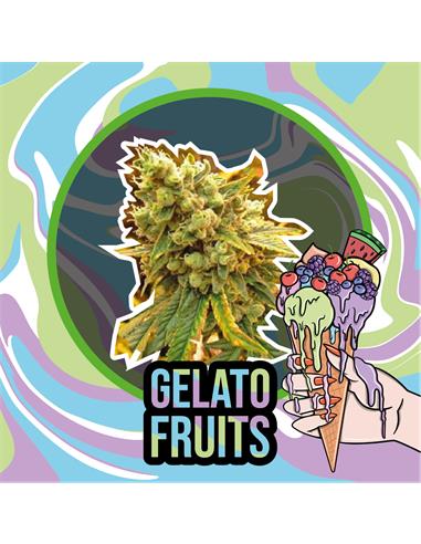 Gelato Fruits Auto - Delirium Seeds