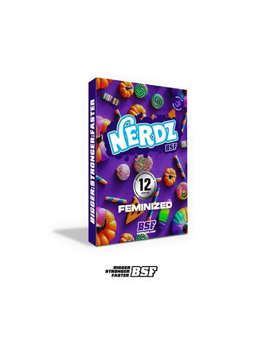 Nerdz X2 - BSF
