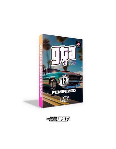 GTA X2 - BSF